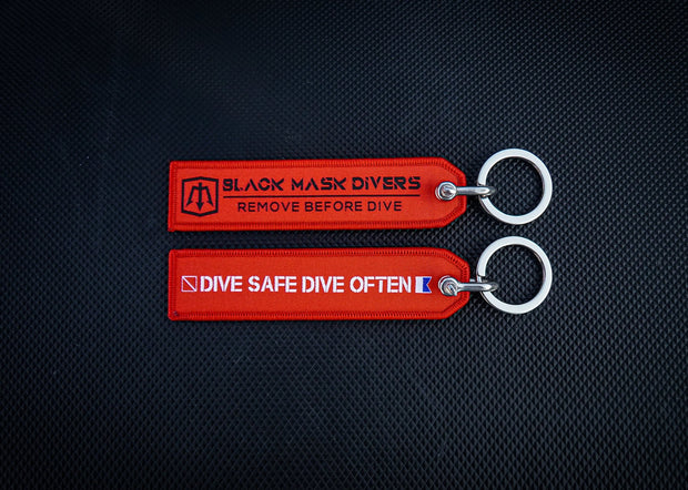 DSDO Key Chain